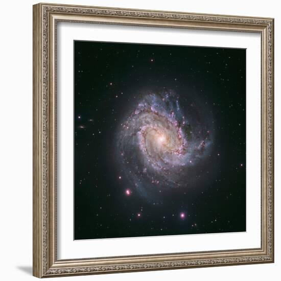 Barred Spiral Galaxy Messier 83-null-Framed Photographic Print