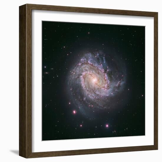 Barred Spiral Galaxy Messier 83-null-Framed Photographic Print