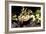 Barred Tiger Salamander Eating Earthworm-null-Framed Photographic Print