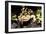 Barred Tiger Salamander Eating Earthworm-null-Framed Photographic Print