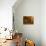 Barrel Aging Cellar and Table, Bodega Juanico Familia Deicas Winery, Juanico, Canelones, Uruguay-Per Karlsson-Photographic Print displayed on a wall