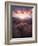 Barrel Cactus in the Alabama Hills at Sunset-Miles Morgan-Framed Photographic Print