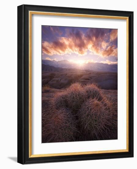 Barrel Cactus in the Alabama Hills at Sunset-Miles Morgan-Framed Photographic Print