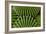 Barrel Cactus-Charles Bowman-Framed Photographic Print