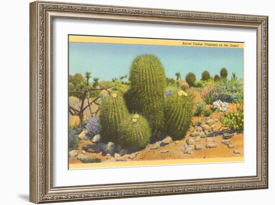 Barrel Cactus-null-Framed Premium Giclee Print