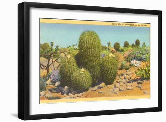 Barrel Cactus-null-Framed Premium Giclee Print