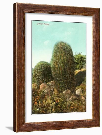 Barrel Cactus-null-Framed Premium Giclee Print