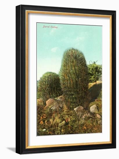 Barrel Cactus-null-Framed Premium Giclee Print