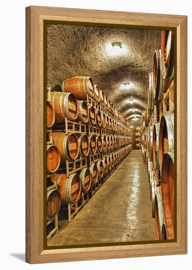 Barrel Cave, Red Mountain Ava, Eastern Yakima Valley, Washington, USA-Richard Duval-Framed Premier Image Canvas