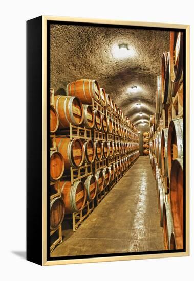 Barrel Cave, Red Mountain Ava, Eastern Yakima Valley, Washington, USA-Richard Duval-Framed Premier Image Canvas