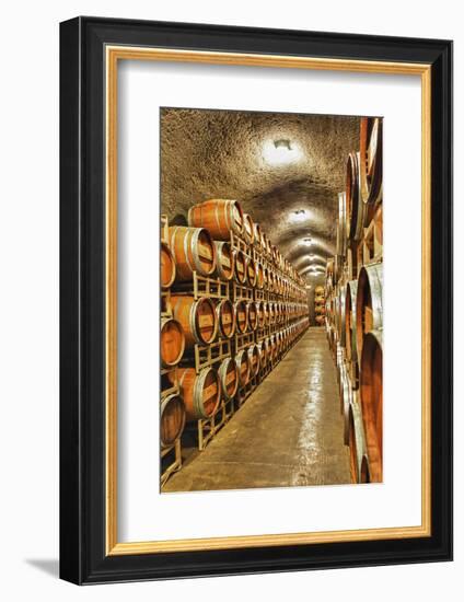 Barrel Cave, Red Mountain Ava, Eastern Yakima Valley, Washington, USA-Richard Duval-Framed Photographic Print