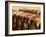 Barrel Cellar for Aging Wines in Oak Casks, Chateau La Grave Figeac, Bordeaux, France-Per Karlsson-Framed Photographic Print