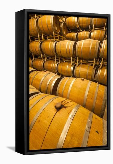 Barrel Room of a Washington Winery, Yakima Valley, Washington, USA-Richard Duval-Framed Premier Image Canvas