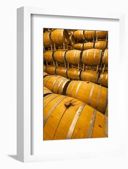 Barrel Room of a Washington Winery, Yakima Valley, Washington, USA-Richard Duval-Framed Photographic Print