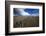 Barrel Spring, Ely, Nevada. a Remote Spring in the Nevada Desert-Richard Wright-Framed Photographic Print