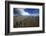 Barrel Spring, Ely, Nevada. a Remote Spring in the Nevada Desert-Richard Wright-Framed Photographic Print