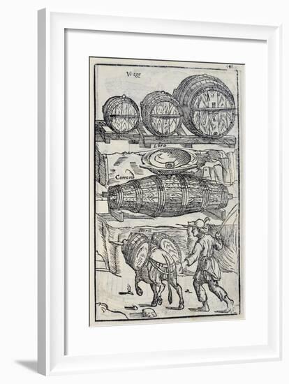 Barrels and Casks from the Twenty Days of Agriculture and the Pleasures of the Villa-null-Framed Giclee Print