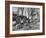 Barrels Being Rolled on Wooden Rails at Jack Daniels Distillery-Ed Clark-Framed Photographic Print