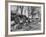 Barrels Being Rolled on Wooden Rails at Jack Daniels Distillery-Ed Clark-Framed Photographic Print