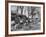 Barrels Being Rolled on Wooden Rails at Jack Daniels Distillery-Ed Clark-Framed Photographic Print