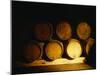 Barrels in a Cellar, Chateau Pavie, St. Emilion, Bordeaux, France-null-Mounted Photographic Print