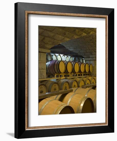 Barrels in Cellar at Chateau Changyu-Castel, Shandong Province, China-Janis Miglavs-Framed Photographic Print