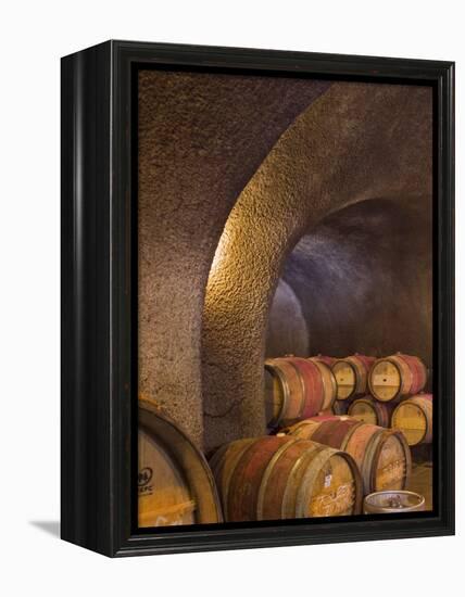 Barrels in Cellar at Long Meadow Ranch Winery, Ruthford, Napa Valley, California, USA-Janis Miglavs-Framed Premier Image Canvas