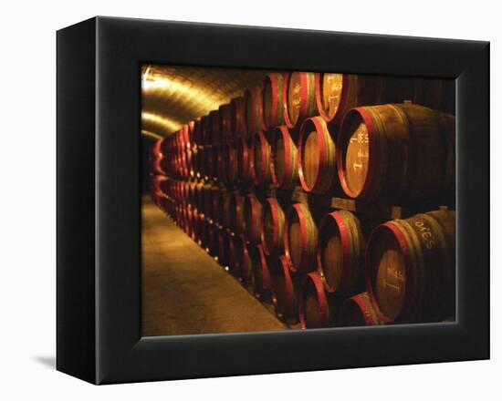 Barrels of Tokaj Wine in Disznoko Cellars, Hungary-Per Karlsson-Framed Premier Image Canvas