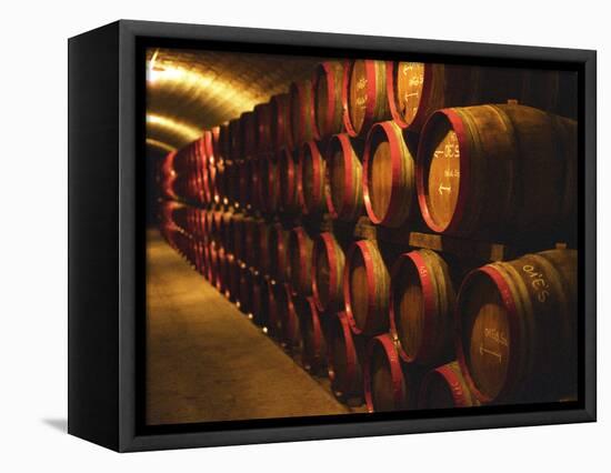 Barrels of Tokaj Wine in Disznoko Cellars, Hungary-Per Karlsson-Framed Premier Image Canvas