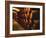 Barrels of Tokaj Wine in Disznoko Cellars, Hungary-Per Karlsson-Framed Photographic Print