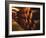 Barrels of Tokaj Wine in Disznoko Cellars, Hungary-Per Karlsson-Framed Photographic Print