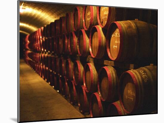 Barrels of Tokaj Wine in Disznoko Cellars, Hungary-Per Karlsson-Mounted Photographic Print