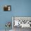 Barrels of Wine Aging in the Cellar, Chateau Vannieres, La Cadiere d'Azur-Per Karlsson-Mounted Photographic Print displayed on a wall