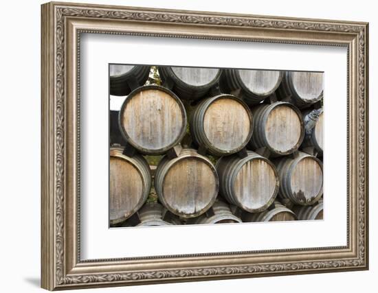 Barrels of wine, Kunde Winery, Sonoma Valley, California-Bill Bachmann-Framed Photographic Print