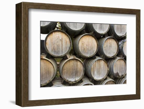 Barrels of wine, Kunde Winery, Sonoma Valley, California-Bill Bachmann-Framed Photographic Print