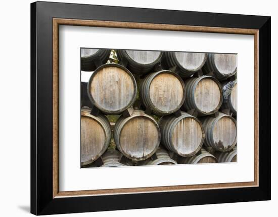 Barrels of wine, Kunde Winery, Sonoma Valley, California-Bill Bachmann-Framed Photographic Print