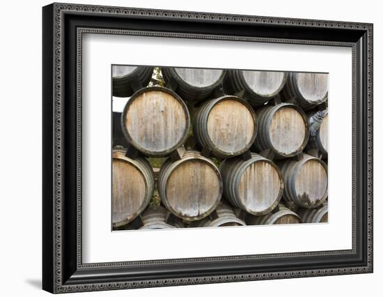 Barrels of wine, Kunde Winery, Sonoma Valley, California-Bill Bachmann-Framed Photographic Print