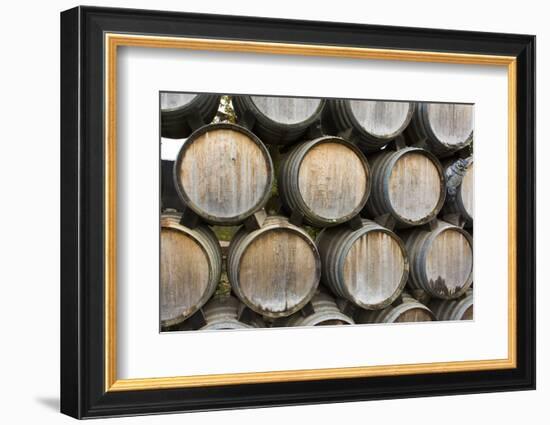 Barrels of wine, Kunde Winery, Sonoma Valley, California-Bill Bachmann-Framed Photographic Print