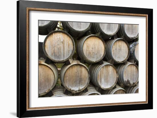 Barrels of wine, Kunde Winery, Sonoma Valley, California-Bill Bachmann-Framed Photographic Print