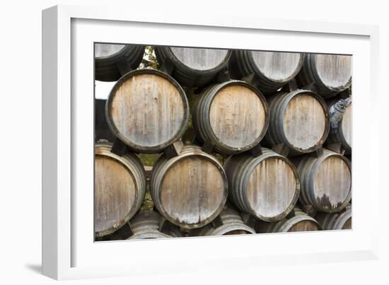 Barrels of wine, Kunde Winery, Sonoma Valley, California-Bill Bachmann-Framed Photographic Print