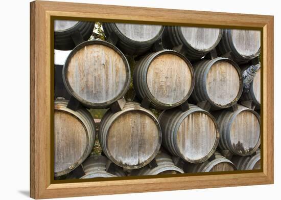 Barrels of wine, Kunde Winery, Sonoma Valley, California-Bill Bachmann-Framed Premier Image Canvas