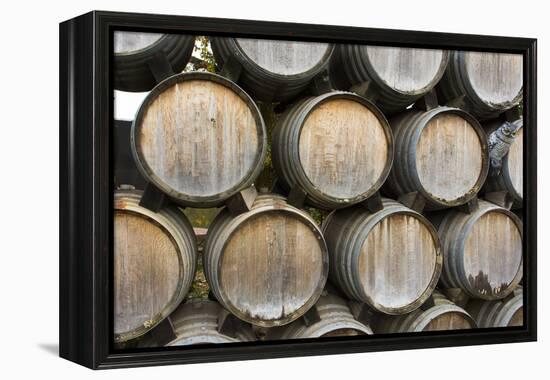 Barrels of wine, Kunde Winery, Sonoma Valley, California-Bill Bachmann-Framed Premier Image Canvas