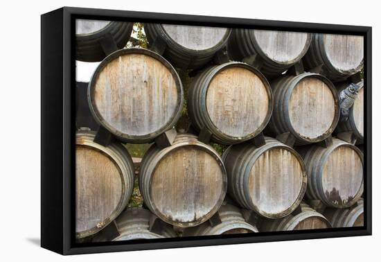 Barrels of wine, Kunde Winery, Sonoma Valley, California-Bill Bachmann-Framed Premier Image Canvas