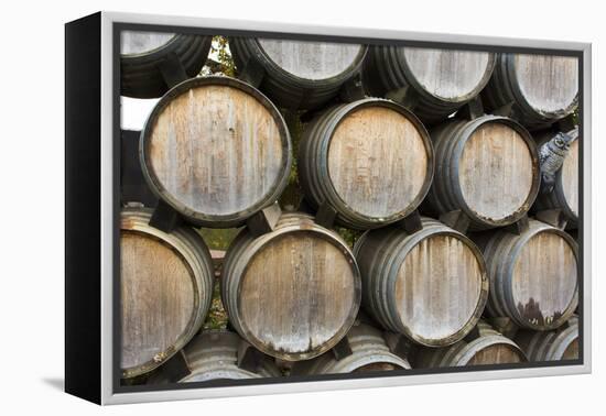 Barrels of wine, Kunde Winery, Sonoma Valley, California-Bill Bachmann-Framed Premier Image Canvas