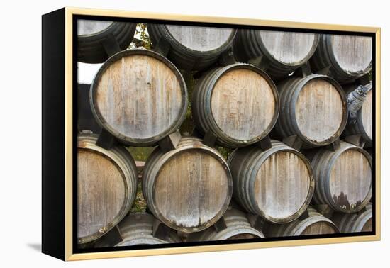 Barrels of wine, Kunde Winery, Sonoma Valley, California-Bill Bachmann-Framed Premier Image Canvas