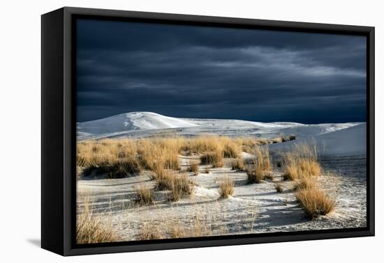 Barren Desert Landscape with Grasses under a Blue Sky-Jody Miller-Framed Premier Image Canvas