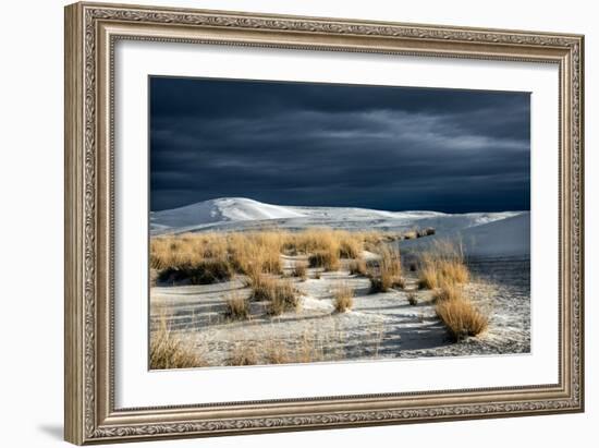 Barren Desert Landscape with Grasses under a Blue Sky-Jody Miller-Framed Photographic Print