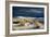 Barren Desert Landscape with Grasses under a Blue Sky-Jody Miller-Framed Photographic Print