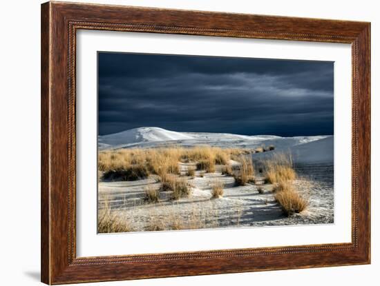 Barren Desert Landscape with Grasses under a Blue Sky-Jody Miller-Framed Photographic Print