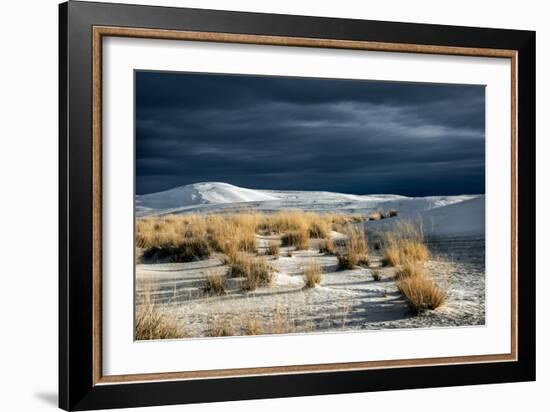 Barren Desert Landscape with Grasses under a Blue Sky-Jody Miller-Framed Photographic Print